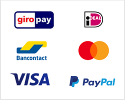 Ingenico ecom payment methods